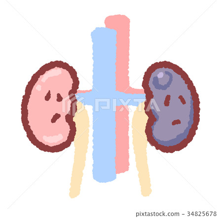 Kidney with tumor 34825678