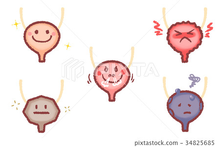 Bladder set Bladder set 34825685