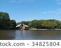 Park's pond 34825804