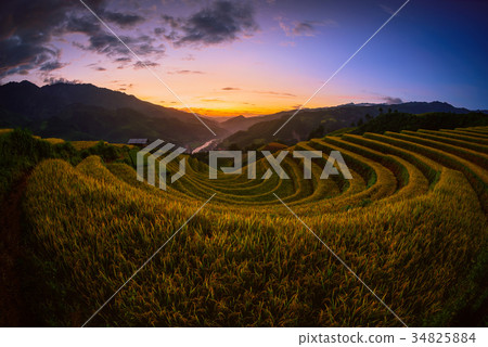 Rice fields on terraced with wooden pavilion 34825884