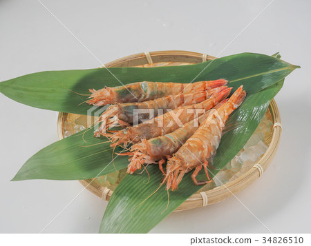 白蝦 34826510