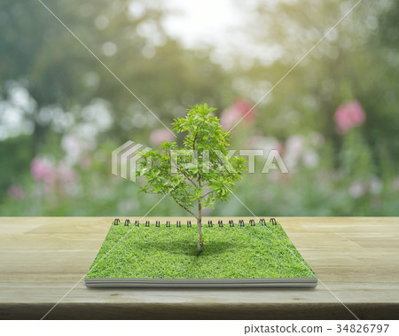 Tree growing from an open book, Ecological concept 34826797