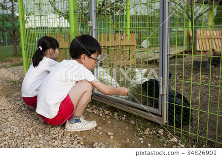 孩子們，兔子我們 34826901
