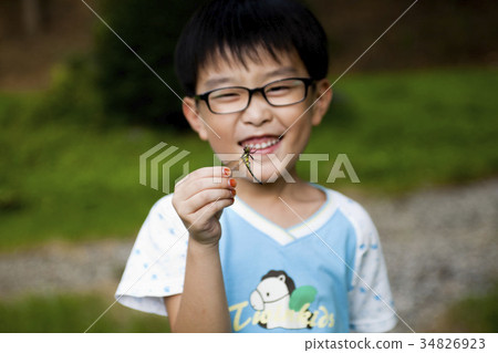 孩子，蜻蜓 34826923