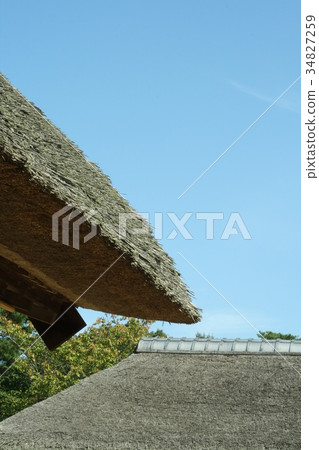 Thatched roof Thatched roof 34827259
