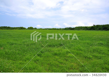 Scenery of Kuroshima 34828430