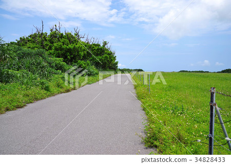 黑島的風景 黑島的風景 34828433