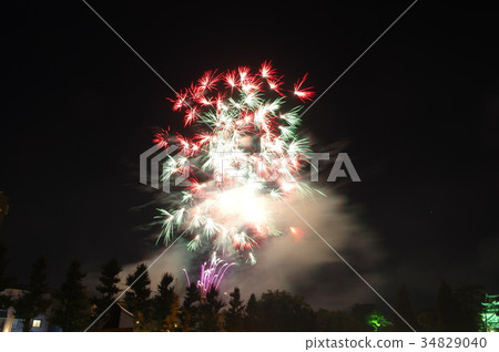 岡崎城堡下的家康夏祭煙花匯演 岡崎城堡下的家康夏祭煙花匯演 34829040