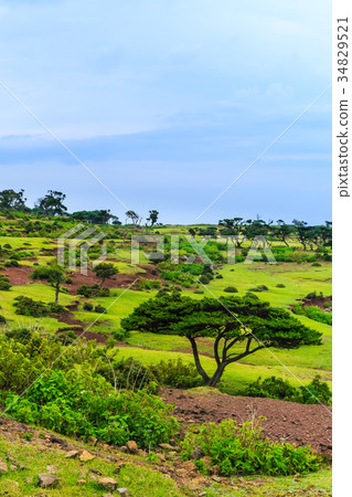 Nozakijima Wild Park Goga Islands Goto Islands 34829521