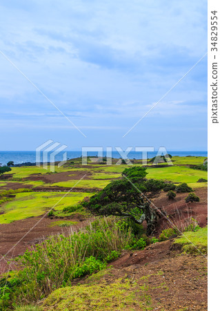 Nozakijima Wild Park Goga Islands Goto Islands Nozakijima Wild Park Goga Islands Goto Islands 34829554
