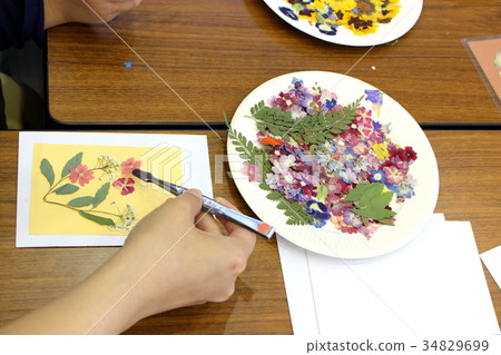 Pressed flower education 34829699