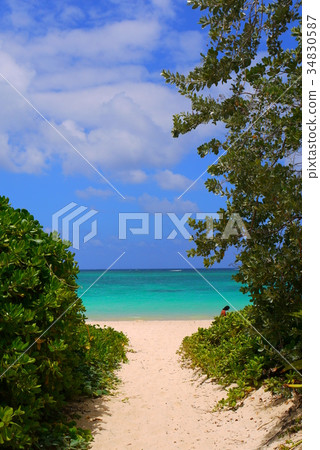 通往大海的路 34830587