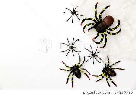 Halloween holiday concept group of spider walk 34830780