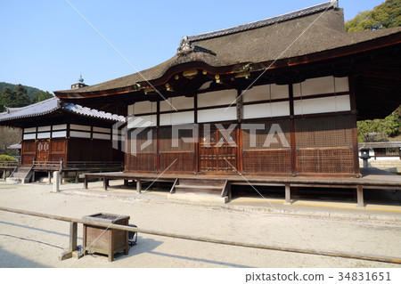 Shiga Mitsuiji Shrine and Daishodo 34831651