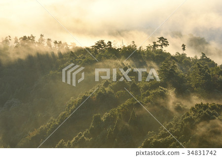 Morning fog Morning fog 34831742