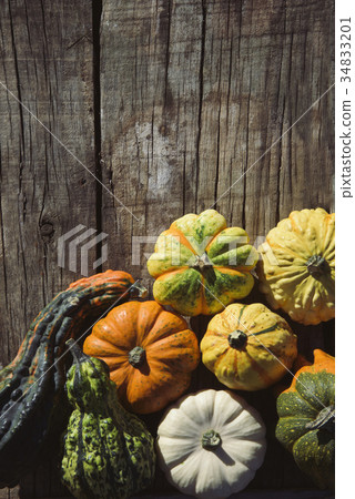 assortment of different pumpkins 34833201