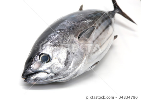 鰹魚成分 鰹魚成分 34834780