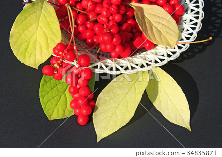 red berries of schisandra on the plate red berries of schisandra on the plate 34835871