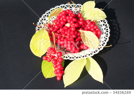 schisandra on the plate schisandra on the plate 34836289