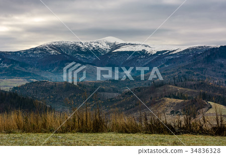 grassy meadow in mountains with snowy peaks 34836328