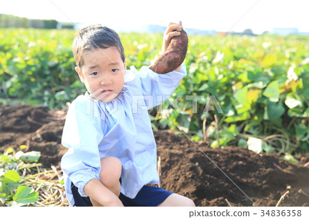 兒童吞嚥小車 34836358