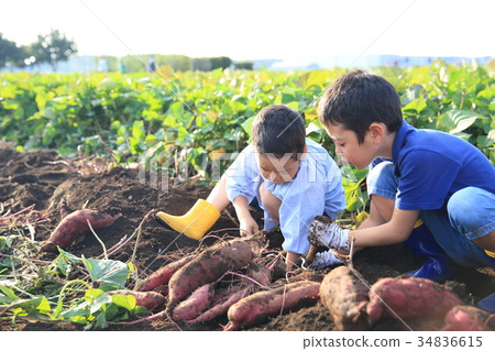 兒童吞嚥小車 34836615