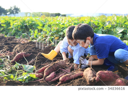 Child swallowing dolly Child swallowing dolly 34836616