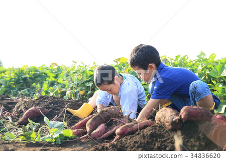 Child swallowing dolly Child swallowing dolly 34836620