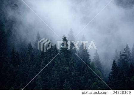 Misty mountain landscape Misty mountain landscape 34838369