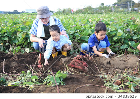 Child swallowing dolly Child swallowing dolly 34839629