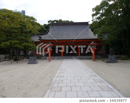住吉神社博多 住吉神社博多 34839977