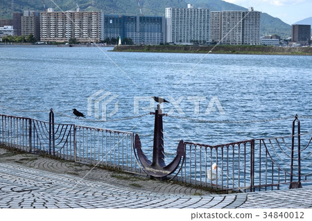 琵琶湖岸邊的一隻烏鴉 琵琶湖岸邊的一隻烏鴉 34840012