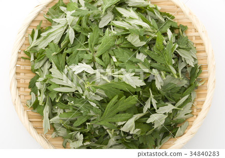 Wormwood Wormwood 34840283