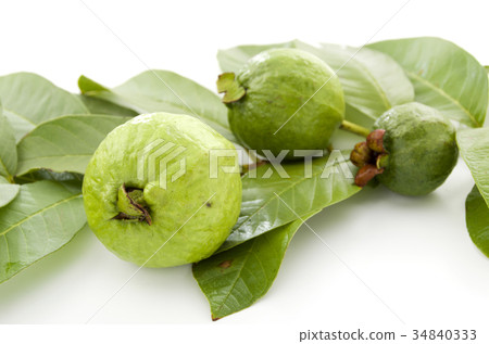 Guava Guava 34840333