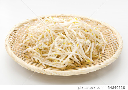 豆芽 34840618