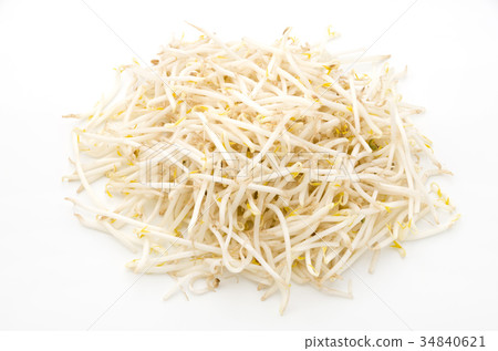 豆芽 34840621