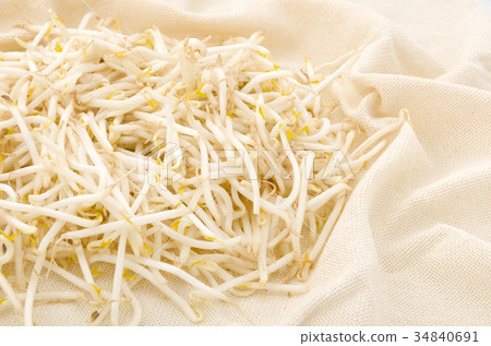 Bean sprouts 34840691