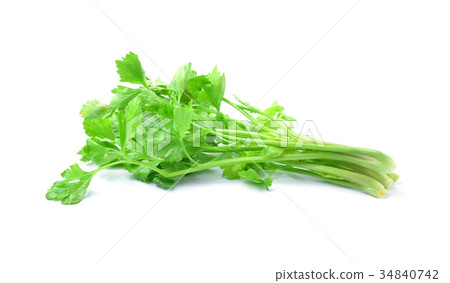 Celery on white background 34840742