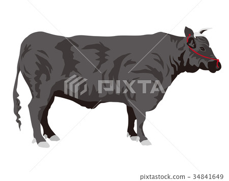 日本牛肉2 日本牛肉2 34841649