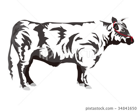 Japanese beef 3 34841650