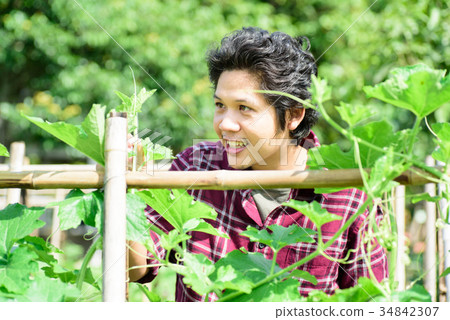 Asian young farmer checking quality of vegetables 34842307