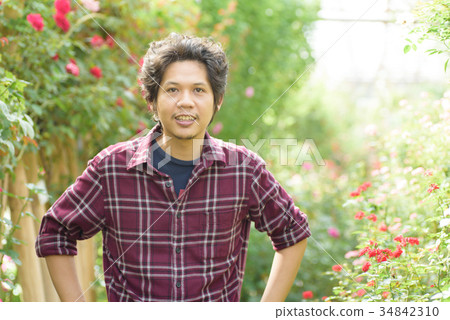 Asian man gardener standing at rose garden Asian man gardener standing at rose garden 34842310