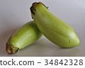 White eggplant 34842328