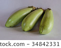 White eggplant 34842331