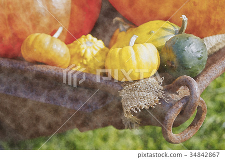 Toy pumpkin pepo pumpkin halloween watercolor 34842867