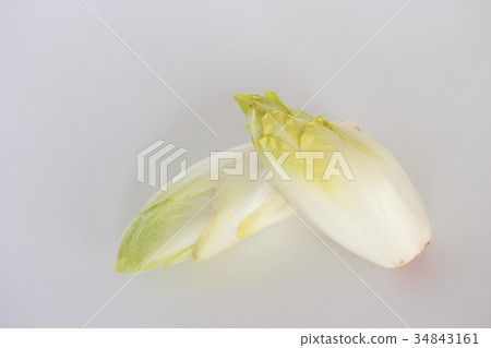 Chicory Chicory 34843161