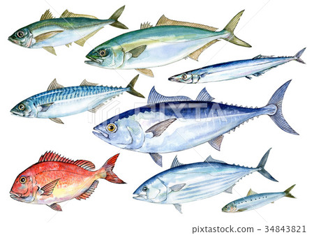 Blue fish with many DHA and EPA (no fish name) 34843821