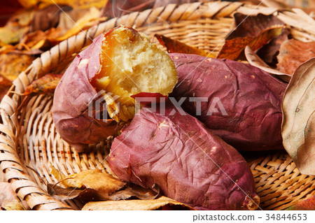 甘藷 甘藷 34844653