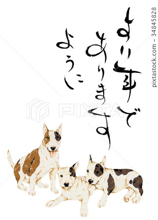 Dog new year's card Dog new year's card 34845828