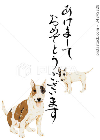 Dog new year's card Dog new year's card 34845829